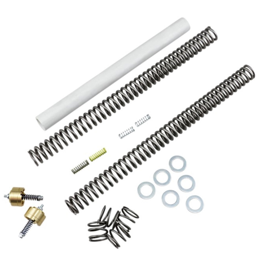 Assorted mechanical springs, including Race Tech Suspension Gold Valve & Fork Spring Kit (.80KG) Fits Sportster & Dyna 39mm, and fasteners displayed on a white background optimized for suspension performance.