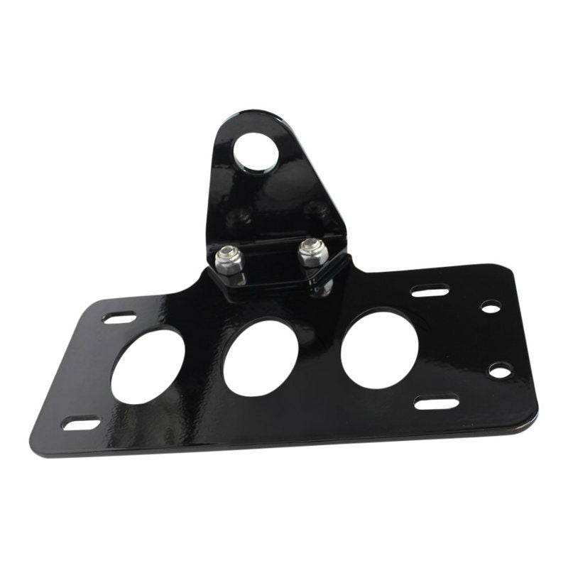 A plate with holes for a motorcycle license plate, offering mounting options and a TC Bros. Side Mount License Plate Bracket (with no light) 20mm (3/4") Axle Mount.