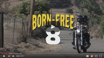 Born Free 8 Coverage & Video By: TC Bros.