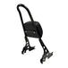 Black Moto Iron Detachable Passenger Sissy Bar With Backrest Pad for 2004-2022 Harley-Davidson Sportster, featuring an attached padded backrest.