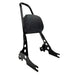 Black Moto Iron Detachable Passenger Sissy Bar With Backrest Pad for 2004-2022 Harley-Davidson Sportster, featuring an attached padded backrest.