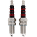 Two Drag Specialties Spark Plugs for Harley-Davidson Twin Cam and Sportster Evolution with gold-colored metal bases and black insulators with red rings.