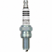 A CR9EB spark plug next to an NGK Spark Plug for Harley-Davidson M8 and XG CR8EIX spark plug.