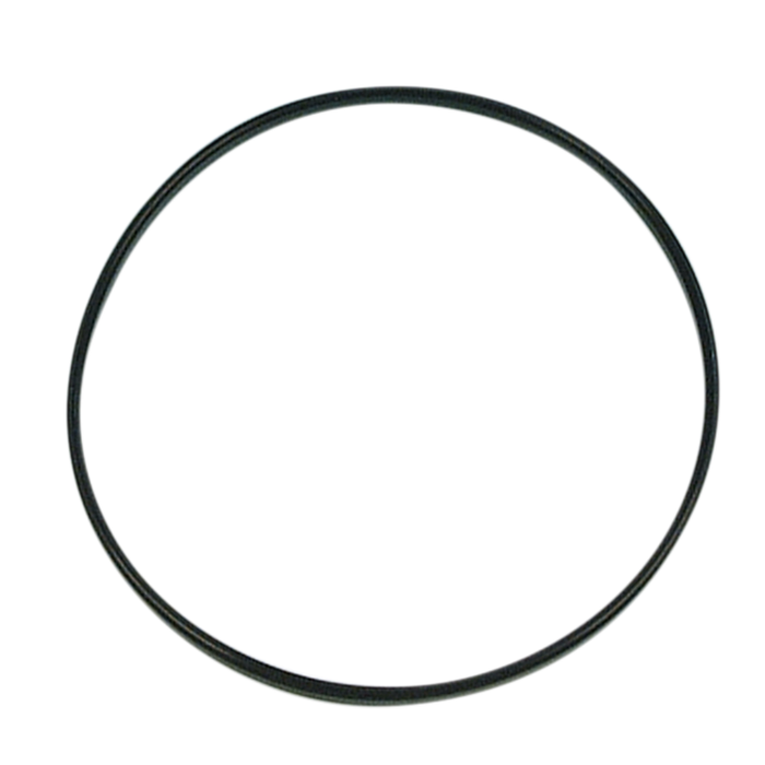 A black rubber O-ring James Derby Cover Seal by James Gaskets for 1994-2022 Harley-Davidson Sportster models is shown on a white background.