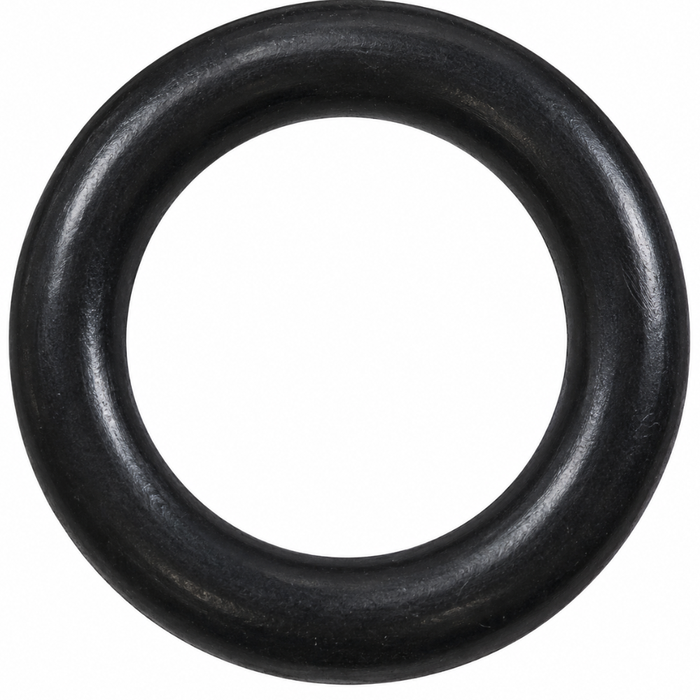 A James Drain Plug O-Ring for Harley-Davidson by James Gaskets is displayed on a white background.