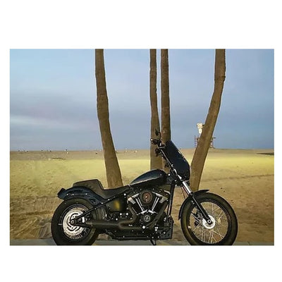 Invisivin Magnetic Vin Sticker Cover - 2018+ Softail VIN number.
