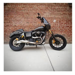 Harley-Davidson Softail with Invisivin Magnetic Vin Sticker Cover - 2006+ Dyna.