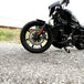 The TC Bros. Profile™ Front Floating Brake Rotor, compatible with 2023+ Harley Touring Bagger and 2021+ Pan America models, features a perforated round design crafted from high-carbon stainless steel with a black center and silver edge.