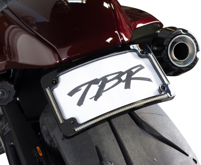 Rear view of a Sportster S motorcycle featuring the Two Bros. Fender Eliminator Kit with integrated license plate light, highlighting its stylish design and prominent "TBR" license plate letters.