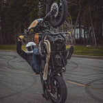 Upgrade your 2000-Up Harley-Davidson with the TC Bros. 11.5" Rear Floating Brake Rotor—featuring a precision-drilled design, black center hub, and top quality from TC Bros.