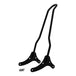 Harley-Davidson XR650R with a TC Bros. Sportster 94-03 Kickback Sissy Bar Black.