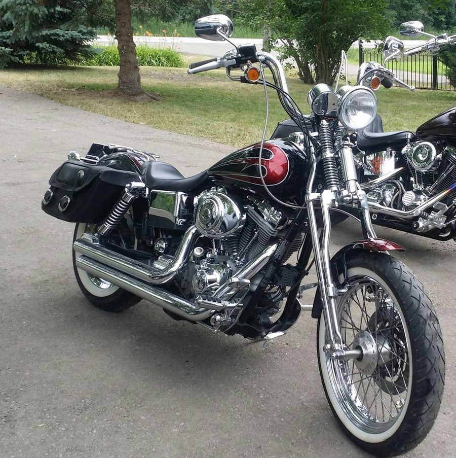 Forty eight springer new arrivals